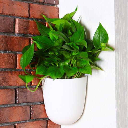 Self-Watering Flowerpot