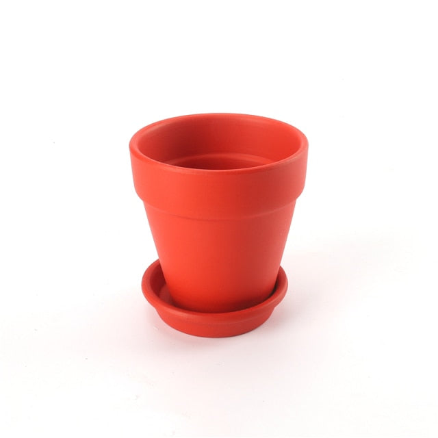 Terracotta Flowerpot with Tray