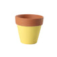 Mini Colorful Terracotta Pots