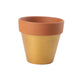 Mini Colorful Terracotta Pots