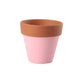 Mini Colorful Terracotta Pots