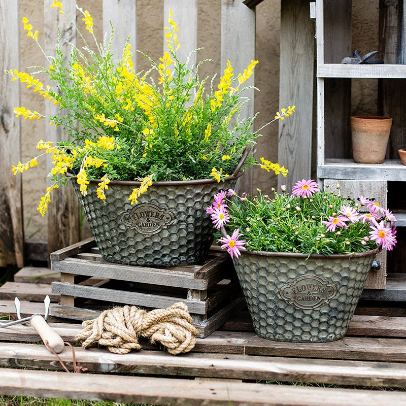 Large American style Wrought Iron Planter.